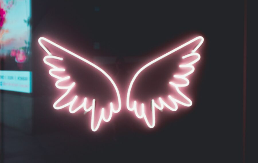 Business Angel Flügel