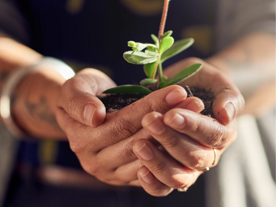 Nachhaltiges Wachstum für Selbständige und Unternehmer